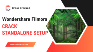 Wondershare Filmora كراك v13