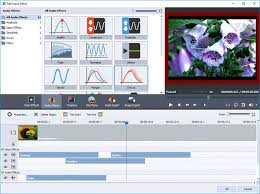 AVS Video Converter 