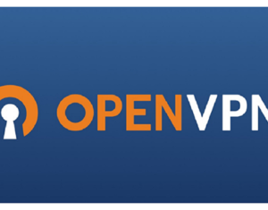 OpenVPN كراك